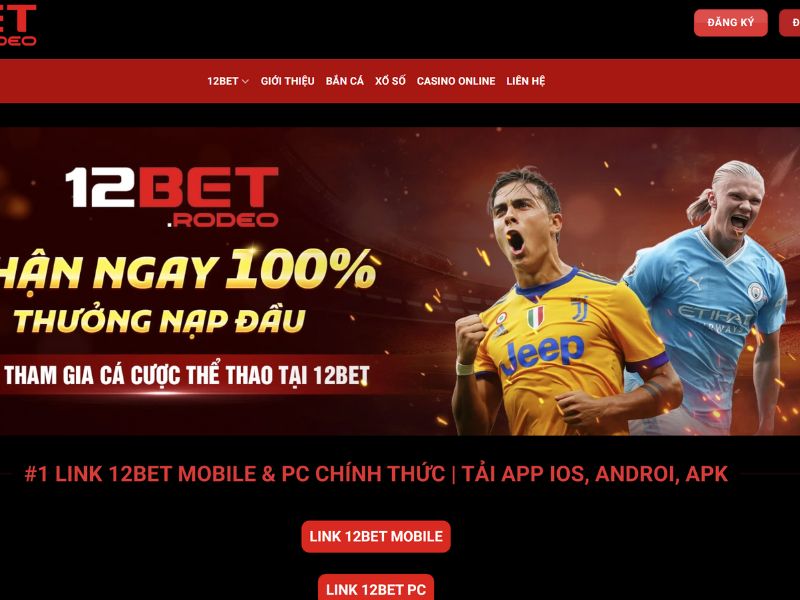 Các loại kèo phổ biến tại 12Bet
